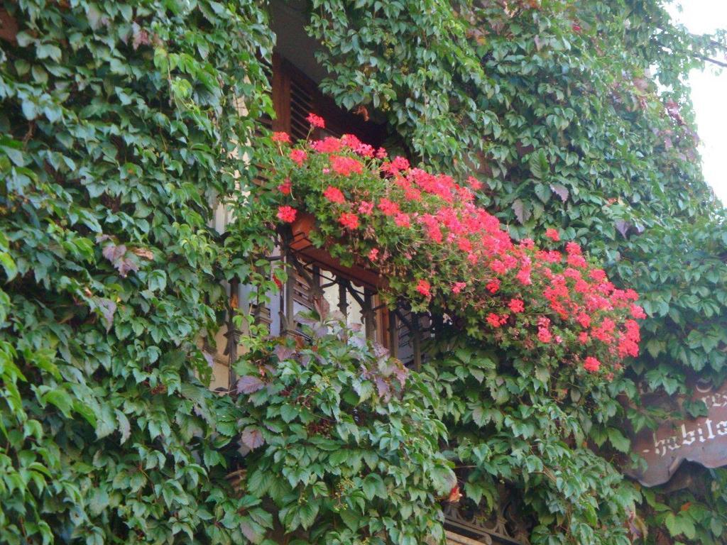 Hotel Casa Frauca Sarvisé المظهر الخارجي الصورة